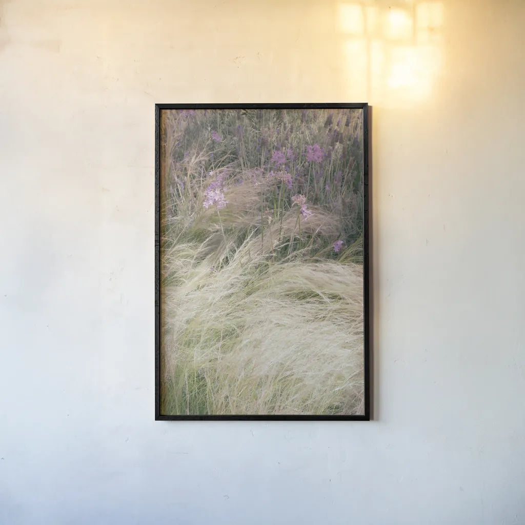 Secret Garden V by Deborah Revell. shown as a paper print in a black flame. Available as a archival giclee rolled canvas, fine art paper, or poster print. SKU 94368h.