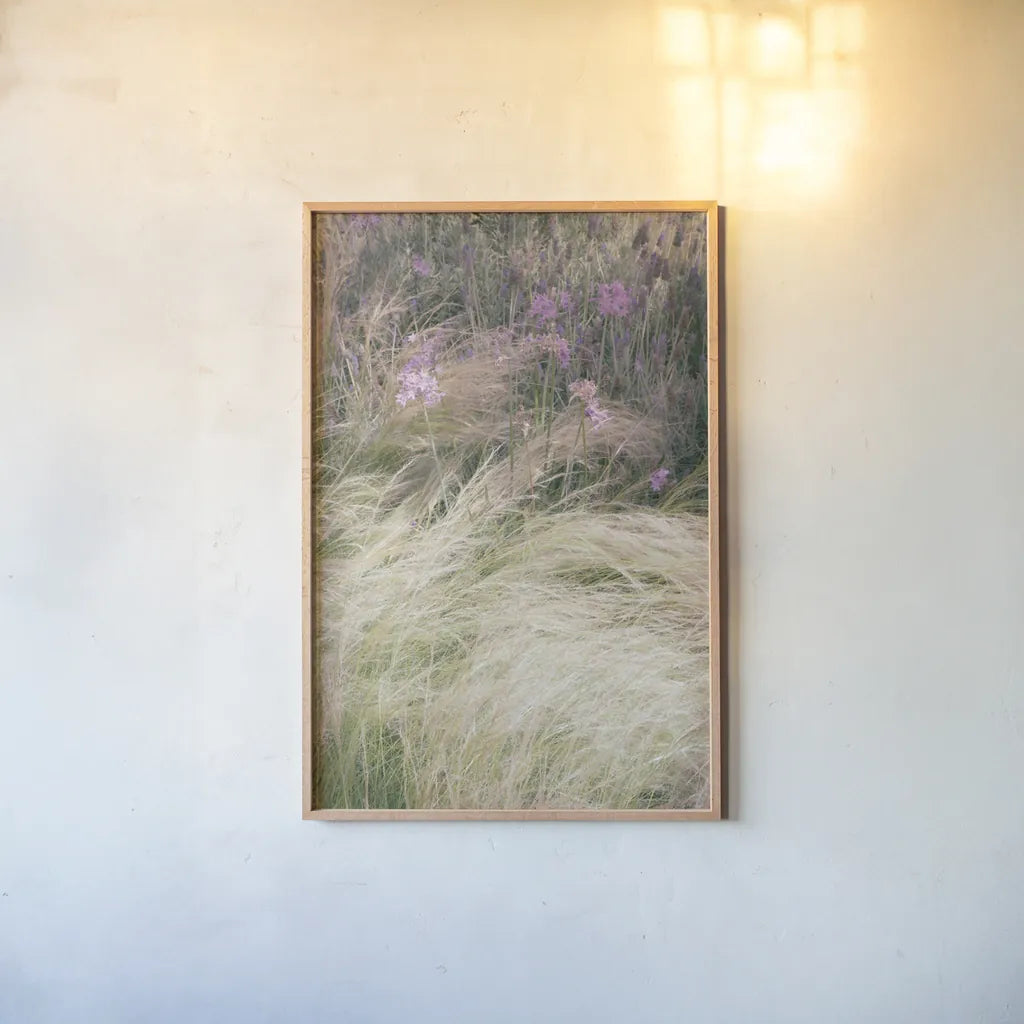 Secret Garden V by Deborah Revell. shown as a paper print in a natural frame. Available as a archival giclee rolled canvas, fine art paper, or poster print. SKU 94368h.