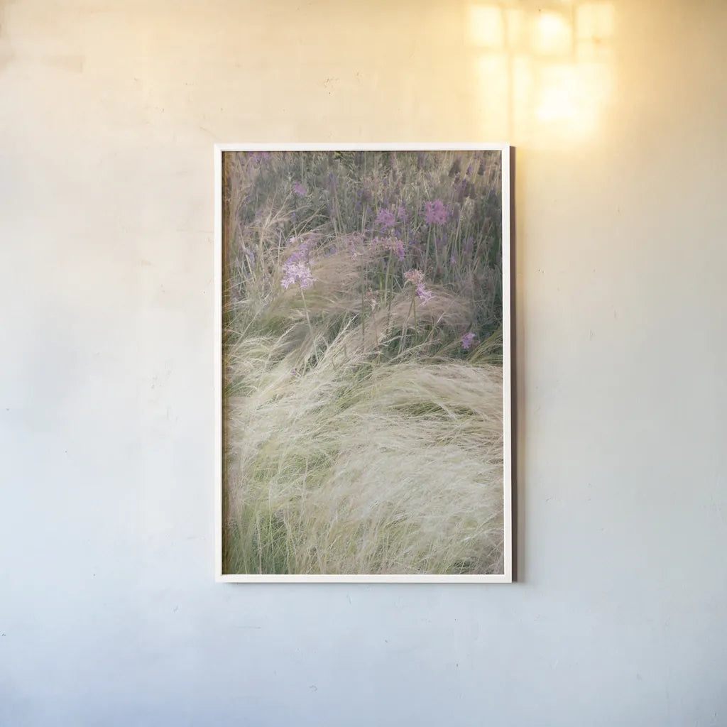 Secret Garden V by Deborah Revell. shown as a paper print in a white frame. Available as a archival giclee rolled canvas, fine art paper, or poster print. SKU 94368h.