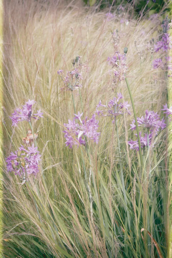 Secret Garden VI by Deborah Revell. SKU 94369h. Archival Giclee Fine art print for wall decor.