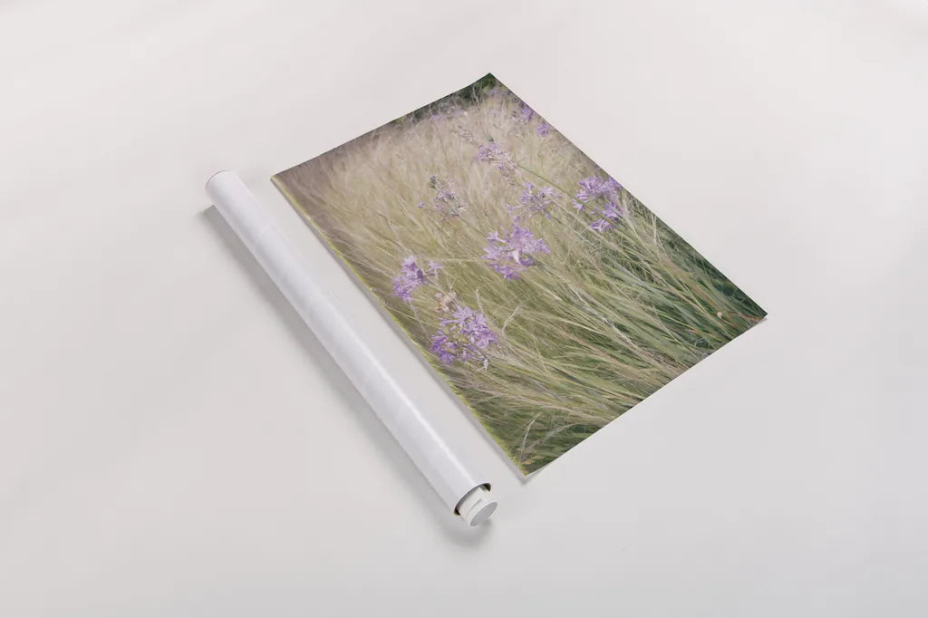 Secret Garden VI by Deborah Revell. shown as a rolled paper print. Available as archival giclee rolled canvas, fine art paper, or poster print. SKU 94369h.