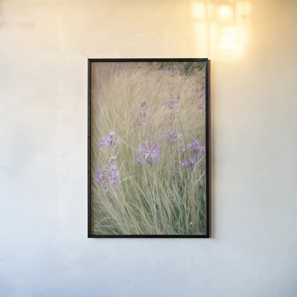 Secret Garden VI by Deborah Revell. shown as a paper print in a black flame. Available as a archival giclee rolled canvas, fine art paper, or poster print. SKU 94369h.