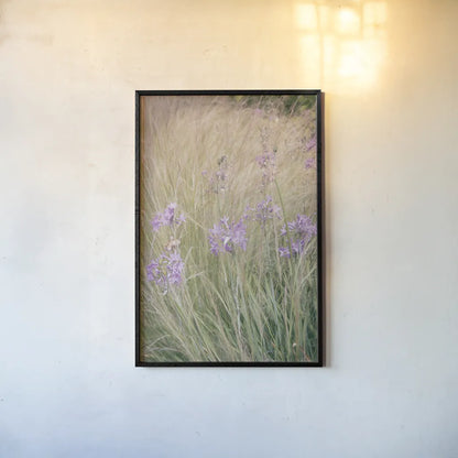 Secret Garden VI by Deborah Revell. shown as a paper print in a black flame. Available as a archival giclee rolled canvas, fine art paper, or poster print. SKU 94369h.