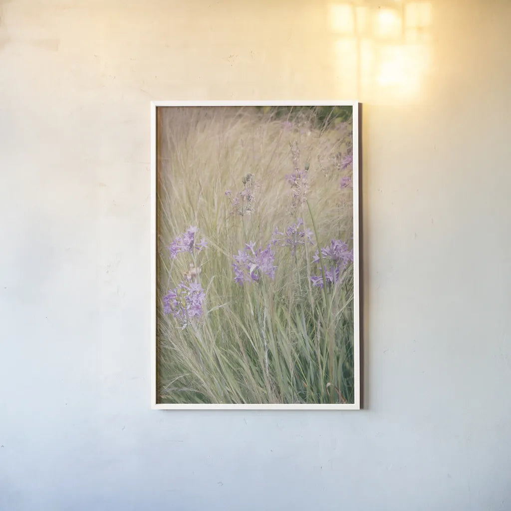 Secret Garden VI by Deborah Revell. shown as a paper print in a white frame. Available as a archival giclee rolled canvas, fine art paper, or poster print. SKU 94369h.