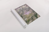 Secret Garden VII by Deborah Revell. shown as a rolled paper print. Available as archival giclee rolled canvas, fine art paper, or poster print. SKU 94370h.