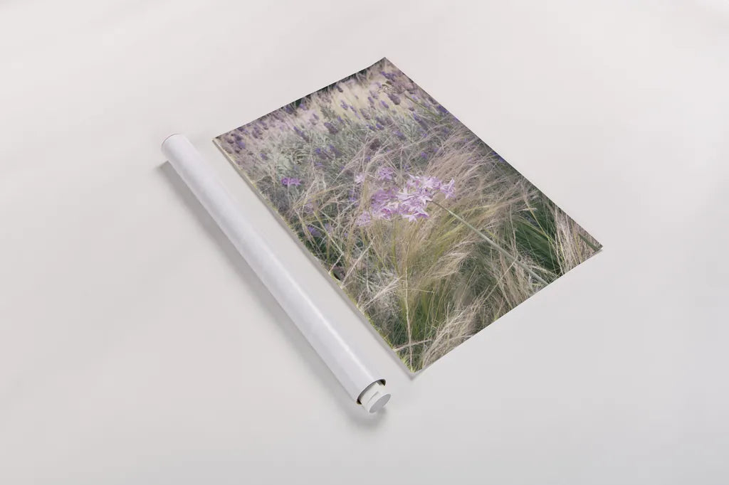 Secret Garden VII by Deborah Revell. shown as a rolled paper print. Available as archival giclee rolled canvas, fine art paper, or poster print. SKU 94370h.