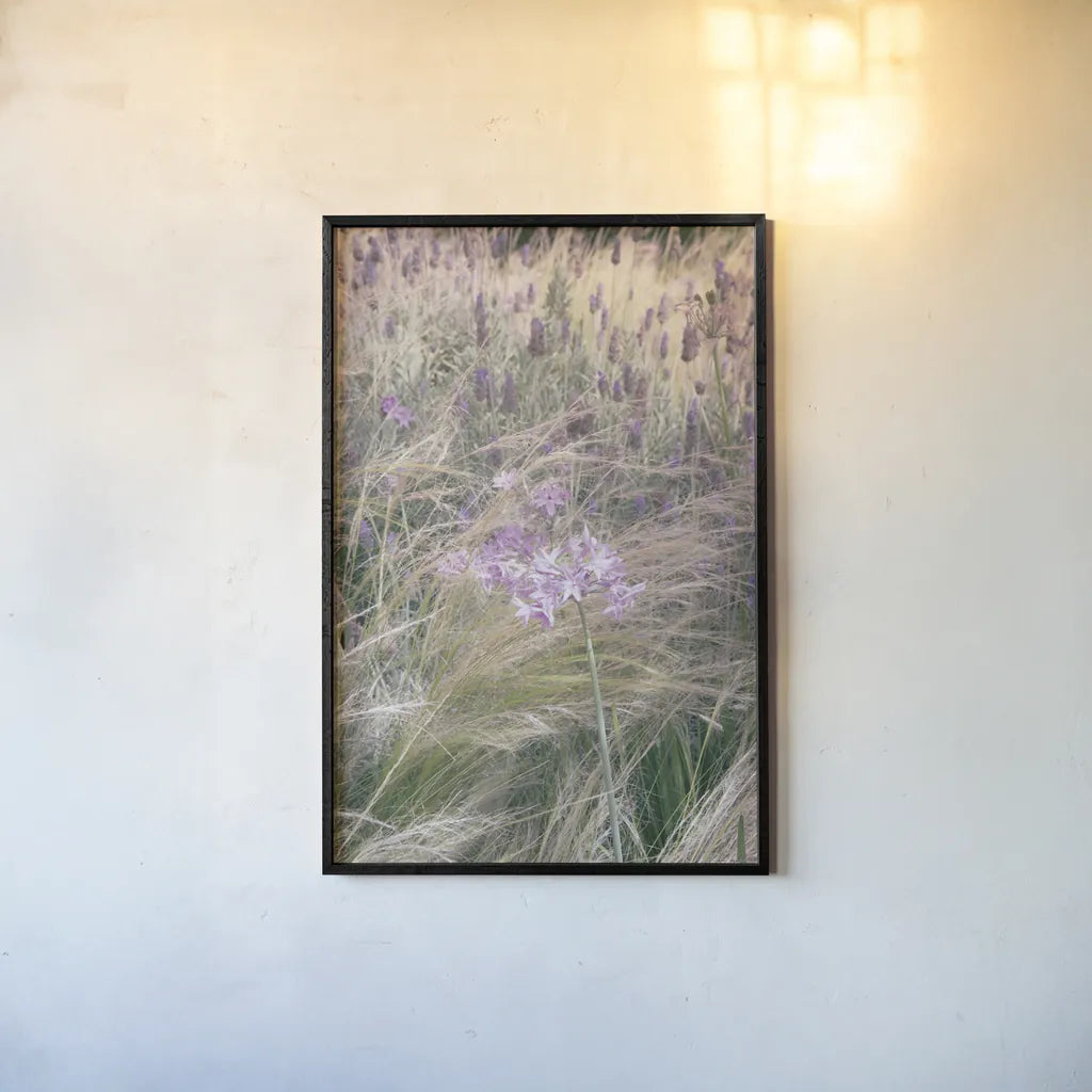 Secret Garden VII by Deborah Revell. shown as a paper print in a black flame. Available as a archival giclee rolled canvas, fine art paper, or poster print. SKU 94370h.