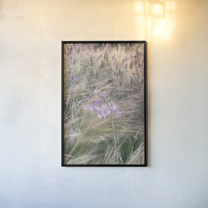 Secret Garden VII by Deborah Revell. shown as a paper print in a black flame. Available as a archival giclee rolled canvas, fine art paper, or poster print. SKU 94370h.