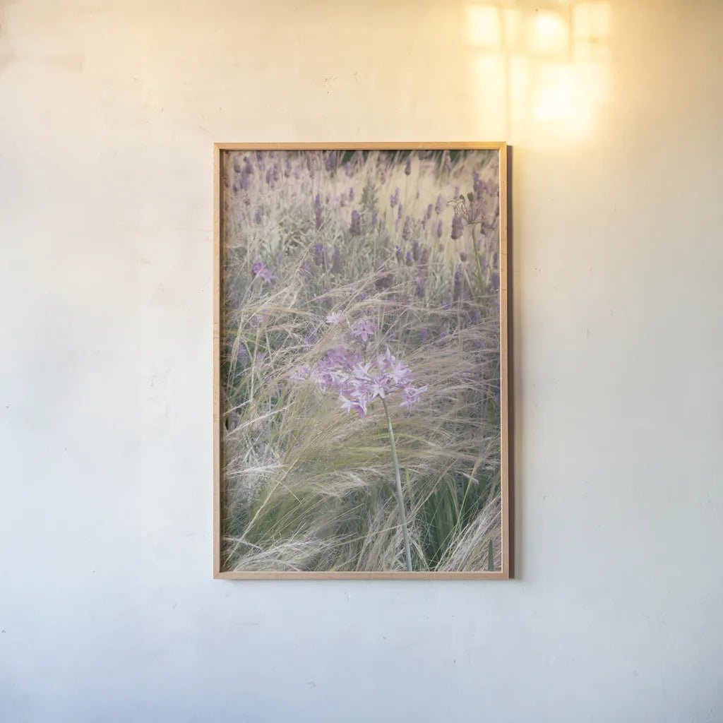 Secret Garden VII by Deborah Revell. shown as a paper print in a natural frame. Available as a archival giclee rolled canvas, fine art paper, or poster print. SKU 94370h.