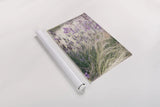 Secret Garden VIII by Deborah Revell. shown as a rolled paper print. Available as archival giclee rolled canvas, fine art paper, or poster print. SKU 94371h.
