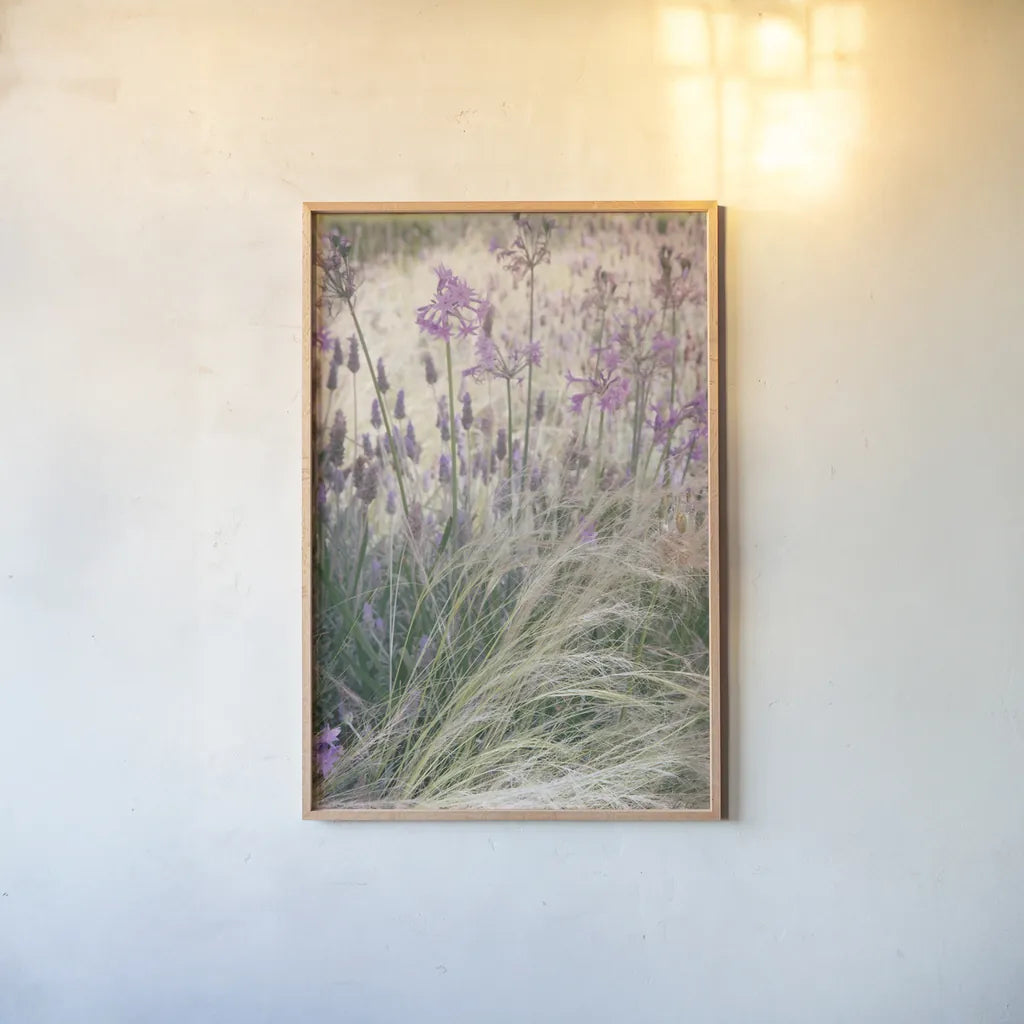 Secret Garden VIII by Deborah Revell. shown as a paper print in a natural frame. Available as a archival giclee rolled canvas, fine art paper, or poster print. SKU 94371h.