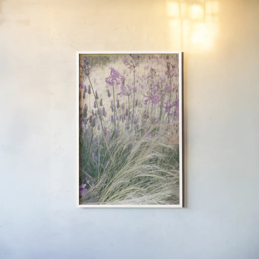 Secret Garden VIII by Deborah Revell. shown as a paper print in a white frame. Available as a archival giclee rolled canvas, fine art paper, or poster print. SKU 94371h.