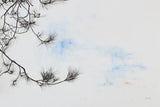 Sepia Fir by Deborah Revell. SKU 90976i. Archival Giclee Fine art print for wall decor.