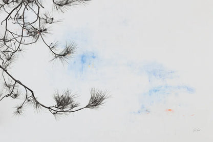 Sepia Fir by Deborah Revell. SKU 90976i. Archival Giclee Fine art print for wall decor.