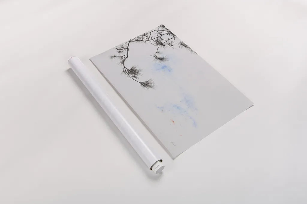 Sepia Fir by Deborah Revell. shown as a rolled paper print. Available as archival giclee rolled canvas, fine art paper, or poster print. SKU 90976i.