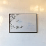 Sepia Fir by Deborah Revell. shown as a paper print in a black flame. Available as a archival giclee rolled canvas, fine art paper, or poster print. SKU 90976i.