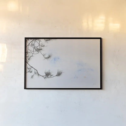 Sepia Fir by Deborah Revell. shown as a paper print in a black flame. Available as a archival giclee rolled canvas, fine art paper, or poster print. SKU 90976i.