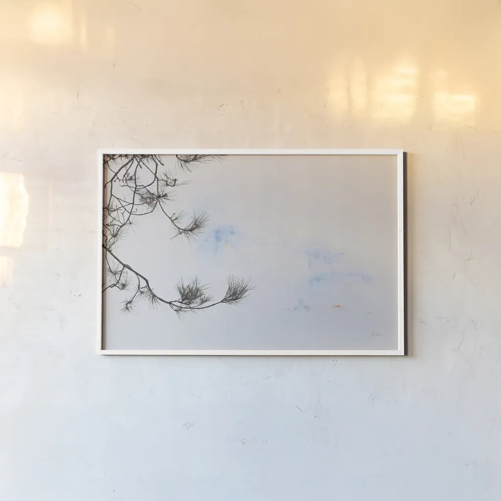 Sepia Fir by Deborah Revell. shown as a paper print in a white frame. Available as a archival giclee rolled canvas, fine art paper, or poster print. SKU 90976i.