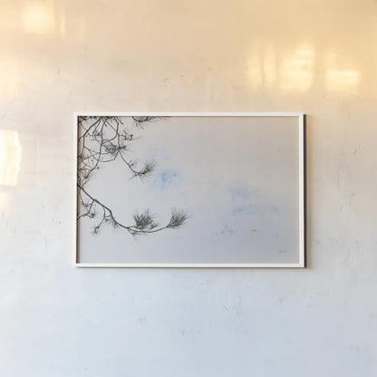 Sepia Fir by Deborah Revell. shown as a paper print in a white frame. Available as a archival giclee rolled canvas, fine art paper, or poster print. SKU 90976i.