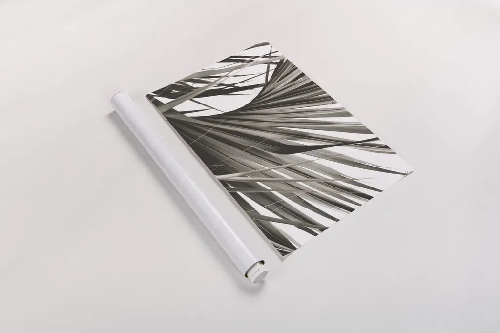 Sepia Palm by Deborah Revell. shown as a rolled paper print. Available as archival giclee rolled canvas, fine art paper, or poster print. SKU 95327h.