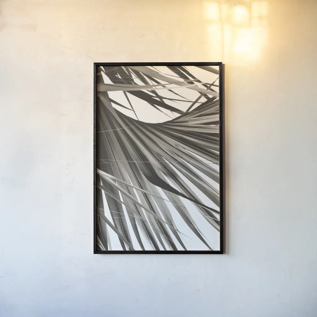 Sepia Palm by Deborah Revell. shown as a paper print in a black flame. Available as a archival giclee rolled canvas, fine art paper, or poster print. SKU 95327h.