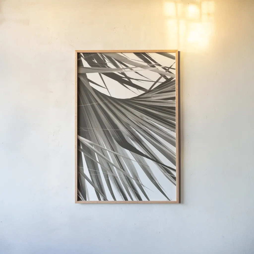 Sepia Palm by Deborah Revell. shown as a paper print in a natural frame. Available as a archival giclee rolled canvas, fine art paper, or poster print. SKU 95327h.