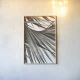 Sepia Palm by Deborah Revell. shown as a paper print in a natural frame. Available as a archival giclee rolled canvas, fine art paper, or poster print. SKU 95327h.