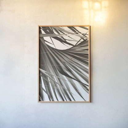 Sepia Palm by Deborah Revell. shown as a paper print in a natural frame. Available as a archival giclee rolled canvas, fine art paper, or poster print. SKU 95327h.