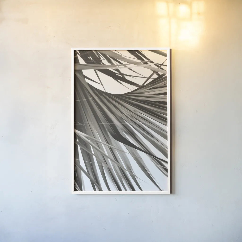 Sepia Palm by Deborah Revell. shown as a paper print in a white frame. Available as a archival giclee rolled canvas, fine art paper, or poster print. SKU 95327h.