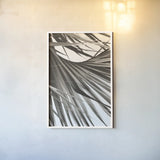 Sepia Palm by Deborah Revell. shown as a paper print in a white frame. Available as a archival giclee rolled canvas, fine art paper, or poster print. SKU 95327h.