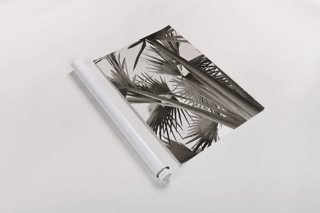 Sepia Palms by Deborah Revell. shown as a rolled paper print. Available as archival giclee rolled canvas, fine art paper, or poster print. SKU 94294h.