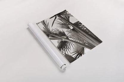 Sepia Palms by Deborah Revell. shown as a rolled paper print. Available as archival giclee rolled canvas, fine art paper, or poster print. SKU 94294h.