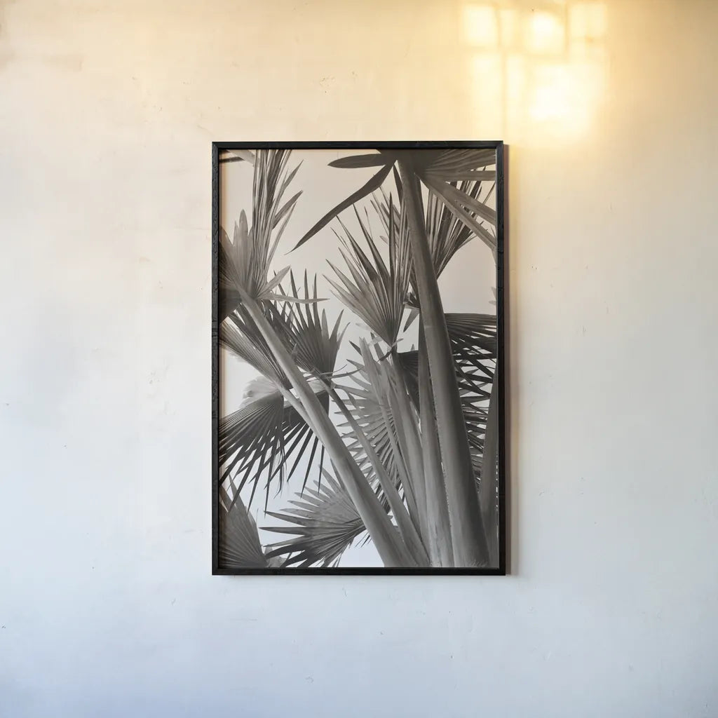 Sepia Palms by Deborah Revell. shown as a paper print in a black flame. Available as a archival giclee rolled canvas, fine art paper, or poster print. SKU 94294h.