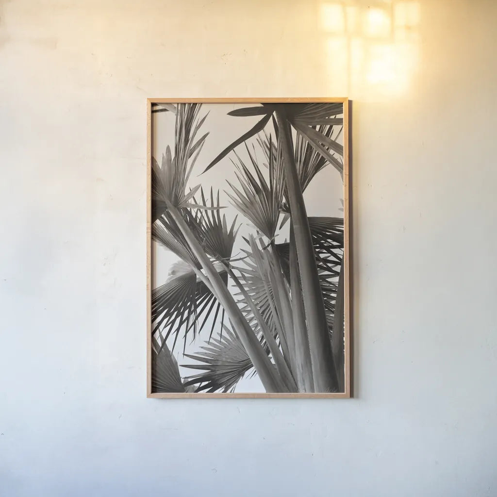 Sepia Palms by Deborah Revell. shown as a paper print in a natural frame. Available as a archival giclee rolled canvas, fine art paper, or poster print. SKU 94294h.