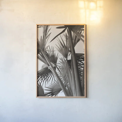 Sepia Palms by Deborah Revell. shown as a paper print in a natural frame. Available as a archival giclee rolled canvas, fine art paper, or poster print. SKU 94294h.