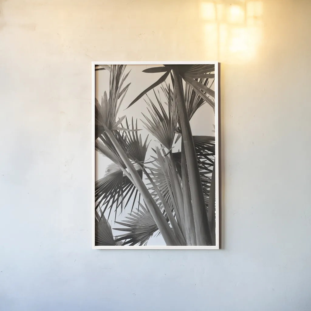 Sepia Palms by Deborah Revell. shown as a paper print in a white frame. Available as a archival giclee rolled canvas, fine art paper, or poster print. SKU 94294h.