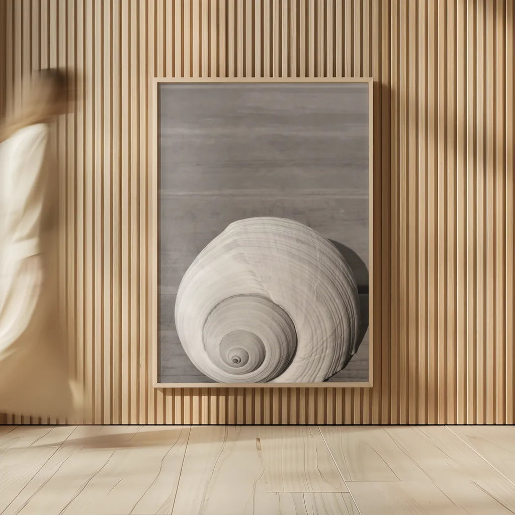 Sepia Shell by Deborah Revell. shown as over sized large wall art. Available as an archival giclee rolled canvas, fine art paper, or poster print. SKU 95328h.