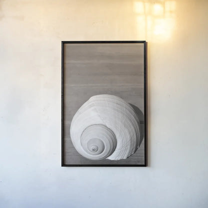 Sepia Shell by Deborah Revell. shown as a paper print in a black flame. Available as a archival giclee rolled canvas, fine art paper, or poster print. SKU 95328h.