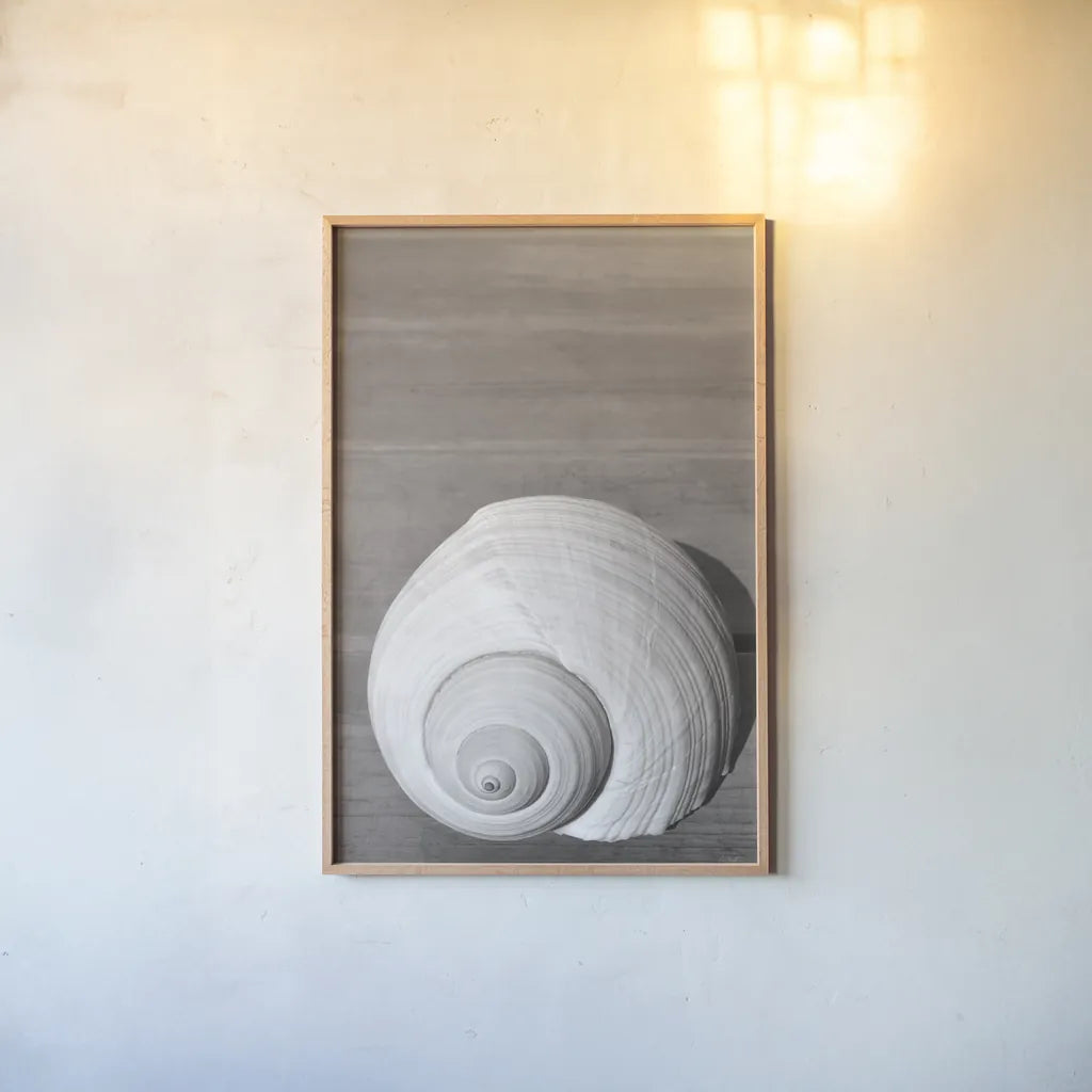 Sepia Shell by Deborah Revell. shown as a paper print in a natural frame. Available as a archival giclee rolled canvas, fine art paper, or poster print. SKU 95328h.