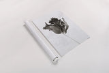 Sepia Tulip I by Deborah Revell. shown as a rolled paper print. Available as archival giclee rolled canvas, fine art paper, or poster print. SKU 93418h.