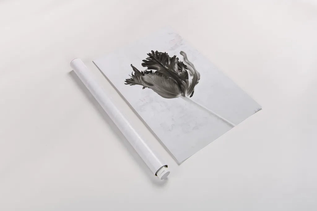 Sepia Tulip I by Deborah Revell. shown as a rolled paper print. Available as archival giclee rolled canvas, fine art paper, or poster print. SKU 93418h.