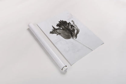 Sepia Tulip I by Deborah Revell. shown as a rolled paper print. Available as archival giclee rolled canvas, fine art paper, or poster print. SKU 93418h.