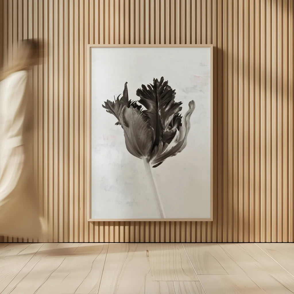 Sepia Tulip I by Deborah Revell. shown as over sized large wall art. Available as an archival giclee rolled canvas, fine art paper, or poster print. SKU 93418h.
