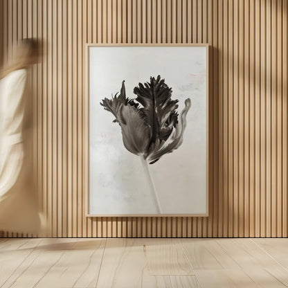 Sepia Tulip I by Deborah Revell. shown as over sized large wall art. Available as an archival giclee rolled canvas, fine art paper, or poster print. SKU 93418h.