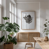 Sepia Tulip I by Deborah Revell. shown as a print in a natural wood frame in a dining room. Available as a archival giclee rolled canvas, fine art paper, or poster print. SKU 93418h.