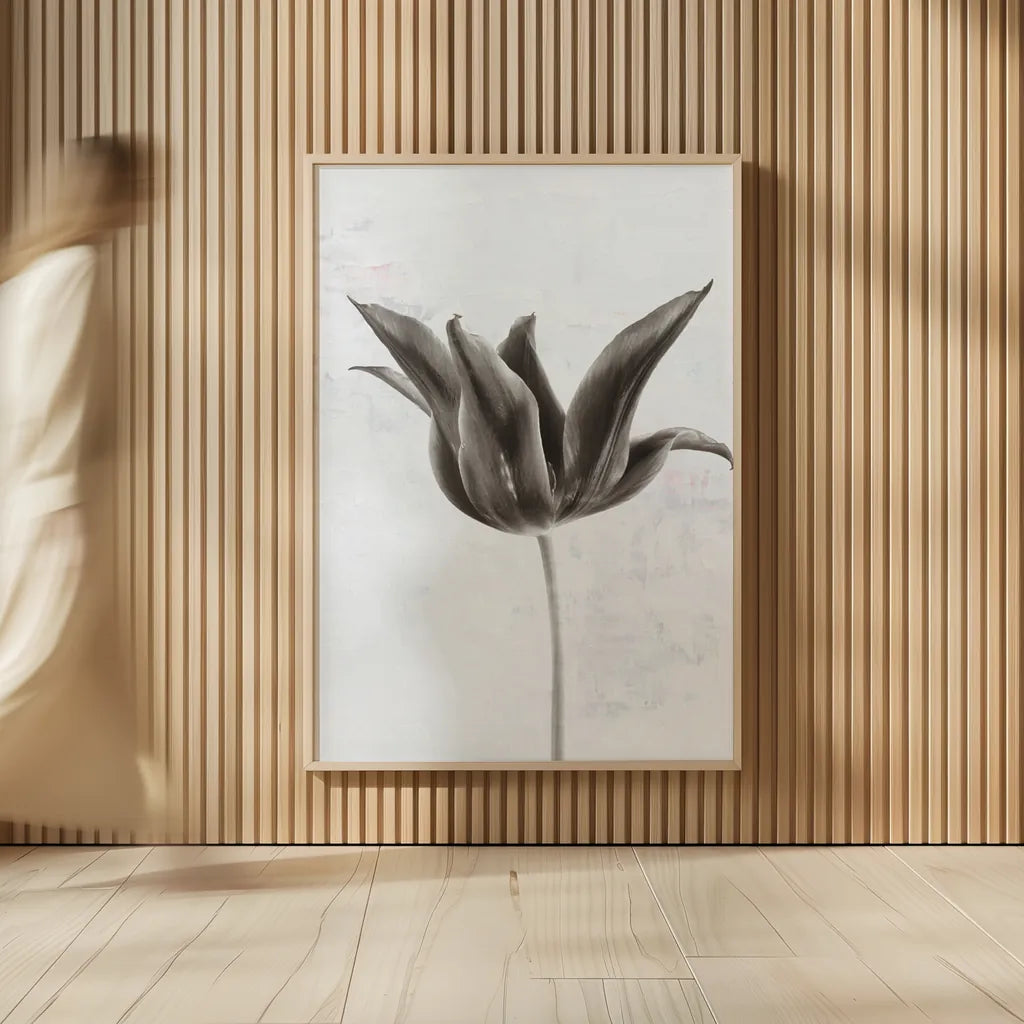 Sepia Tulip II by Deborah Revell. shown as over sized large wall art. Available as an archival giclee rolled canvas, fine art paper, or poster print. SKU 93419h.