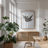 Sepia Tulip II by Deborah Revell. shown as a print in a natural wood frame in a dining room. Available as a archival giclee rolled canvas, fine art paper, or poster print. SKU 93419h.