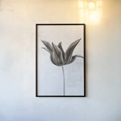 Sepia Tulip II by Deborah Revell. shown as a paper print in a black flame. Available as a archival giclee rolled canvas, fine art paper, or poster print. SKU 93419h.