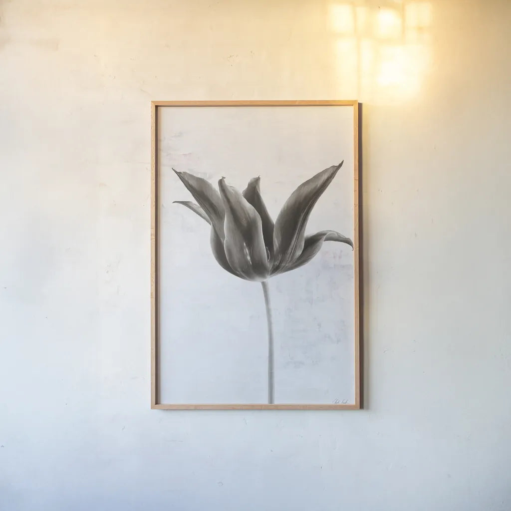 Sepia Tulip II by Deborah Revell. shown as a paper print in a natural frame. Available as a archival giclee rolled canvas, fine art paper, or poster print. SKU 93419h.