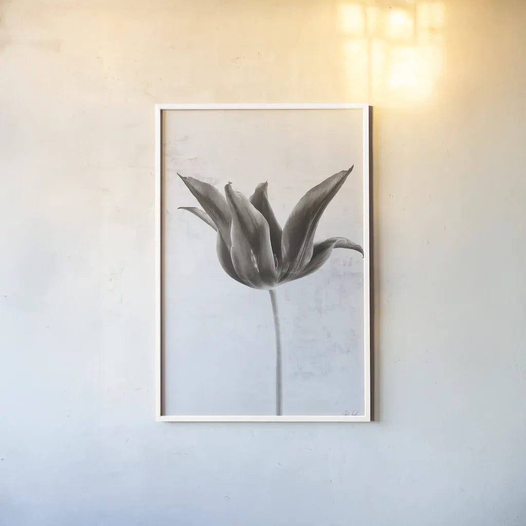 Sepia Tulip II by Deborah Revell. shown as a paper print in a white frame. Available as a archival giclee rolled canvas, fine art paper, or poster print. SKU 93419h.